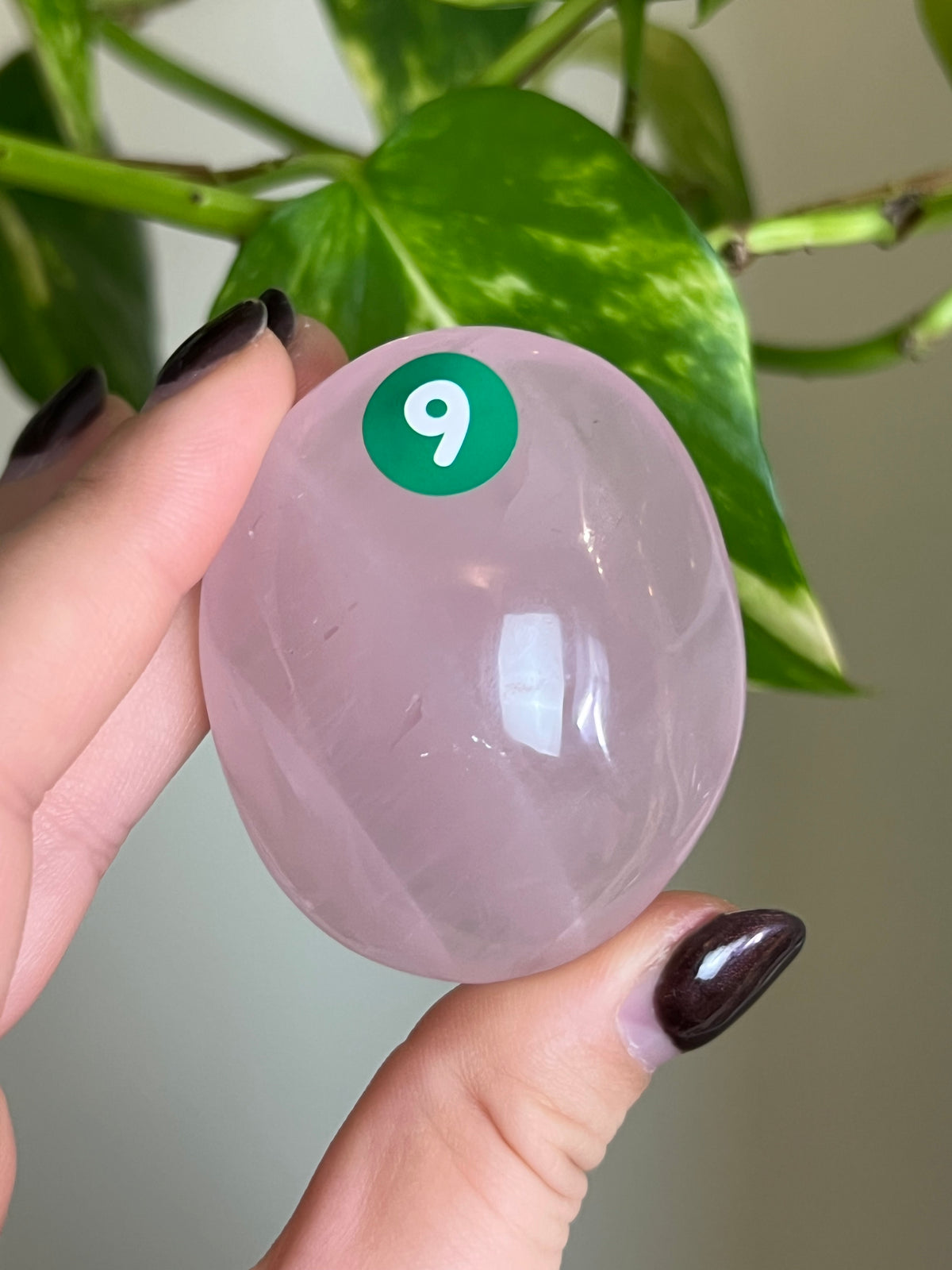 Rose Quartz Palm Stone - 9