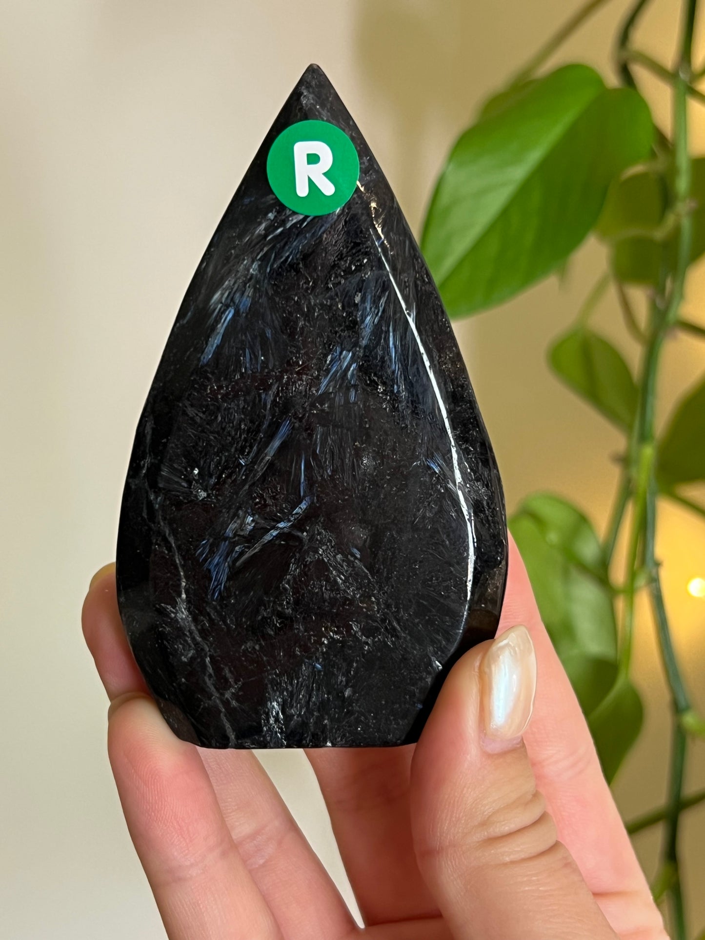 Astrophyllite on Matrix Freeform - R