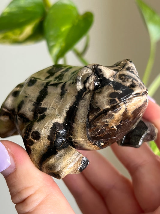 Picture Jasper Large Toad