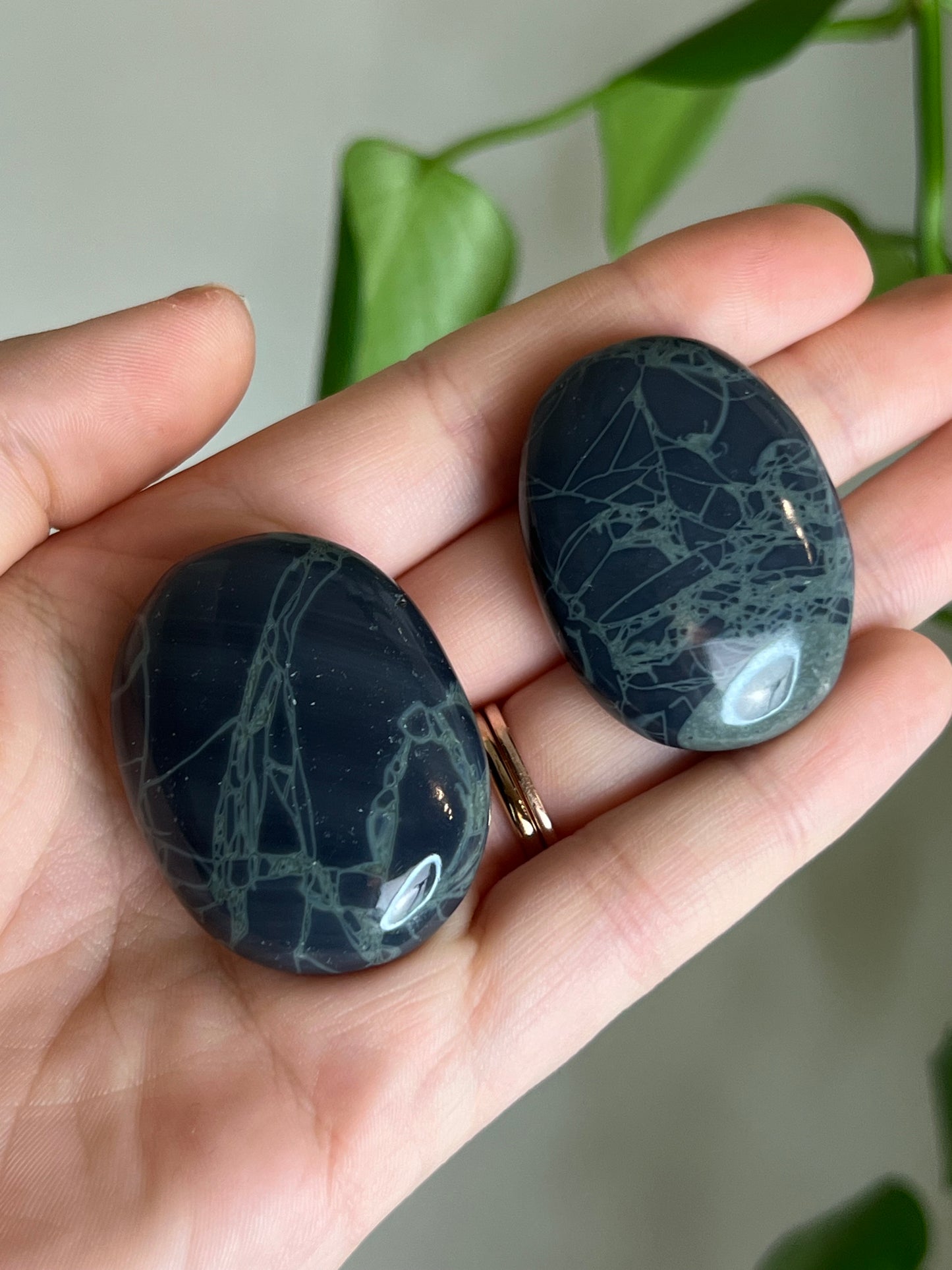 Spider Web Obsidian Small Palm