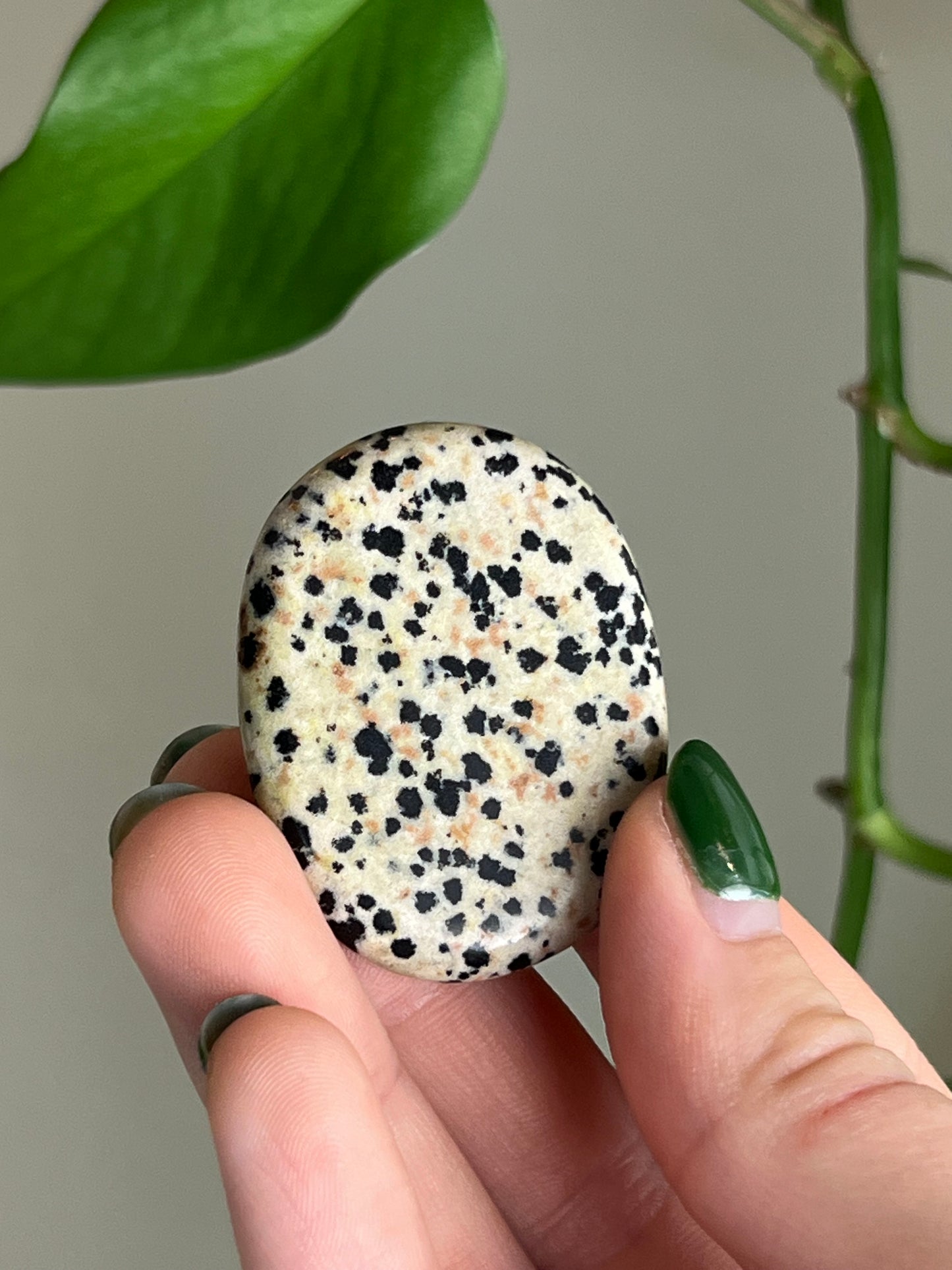 Dalmatian Jasper Affirmation Stone - Strength