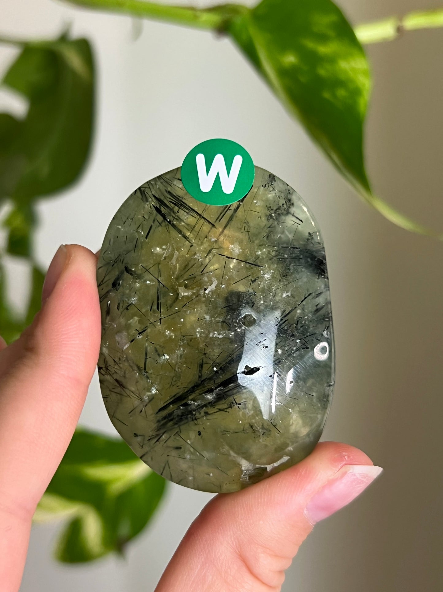 Prehnite with Epidote Palm Stone - W