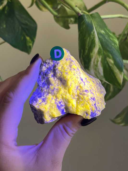UV Reactive Meionite Scapolite Specimen - D