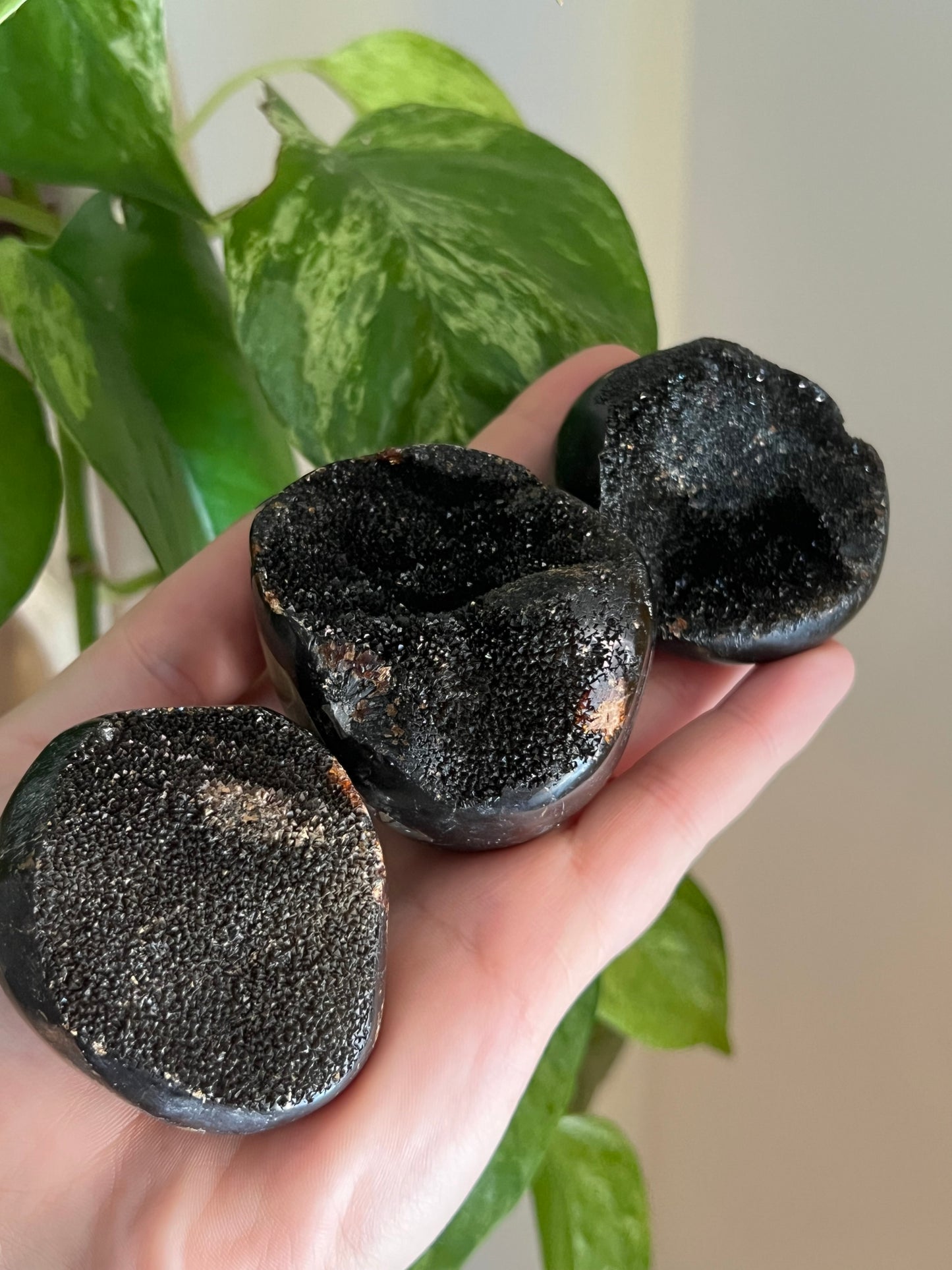 Druzy Septarian Palm Stone/Egg