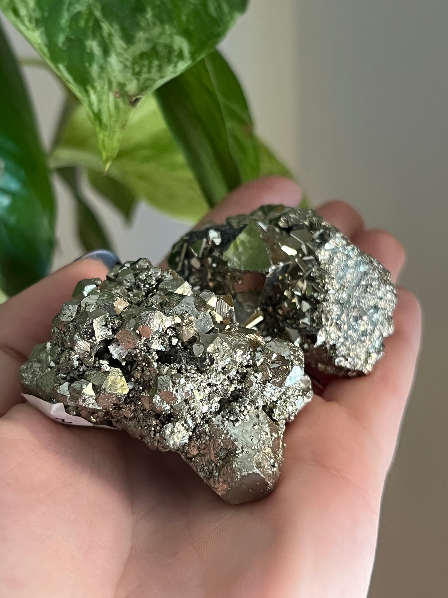 Pyrite Cluster