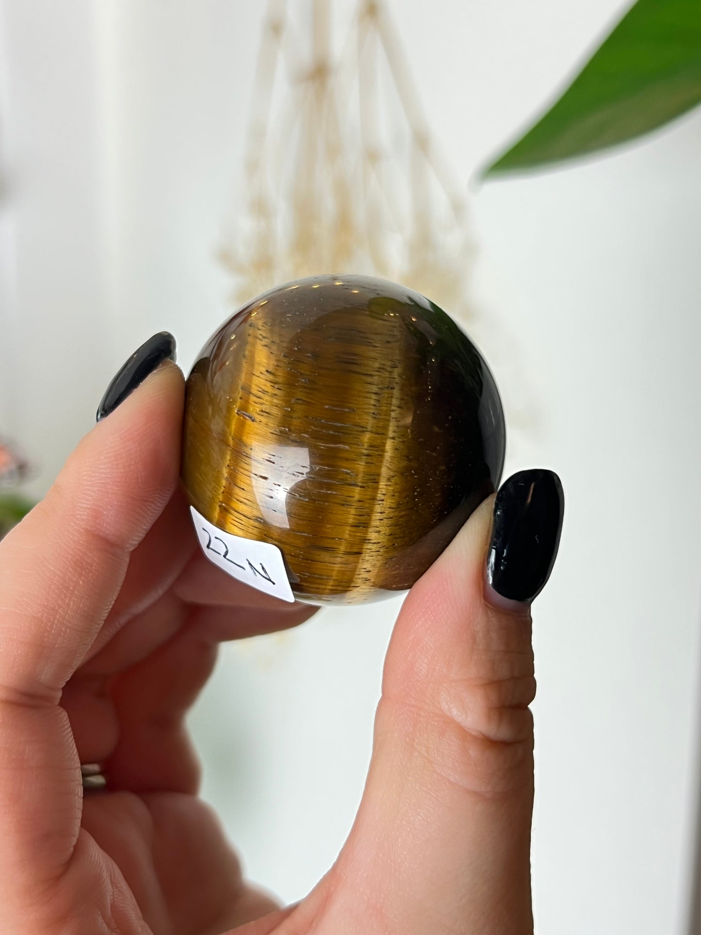 Flashy Golden Tigers Eye Medium Sphere
