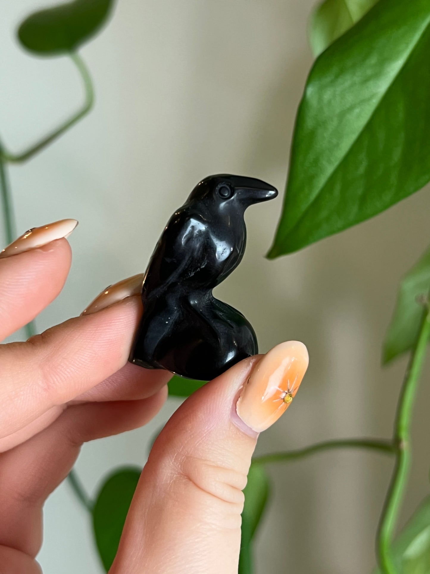 Black Obsidian Raven