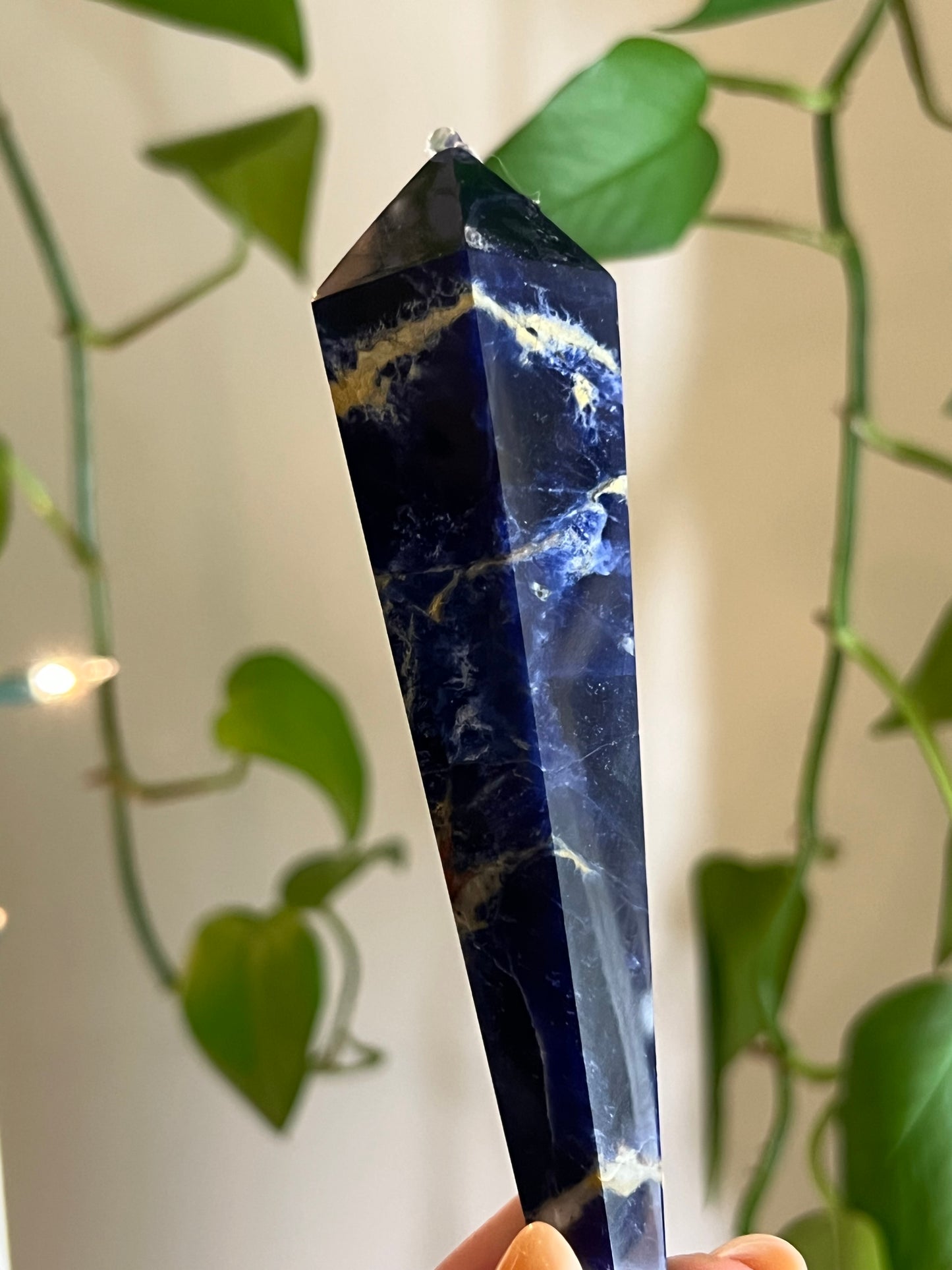 Sodalite Wand - XX