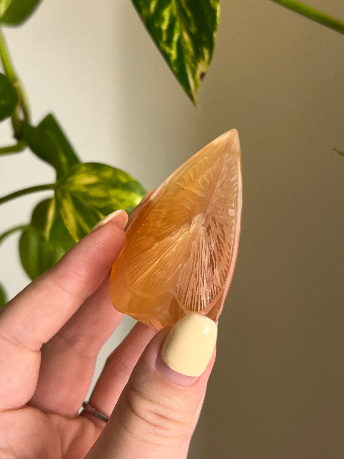 Honey Calcite Fruit Slice 🍊