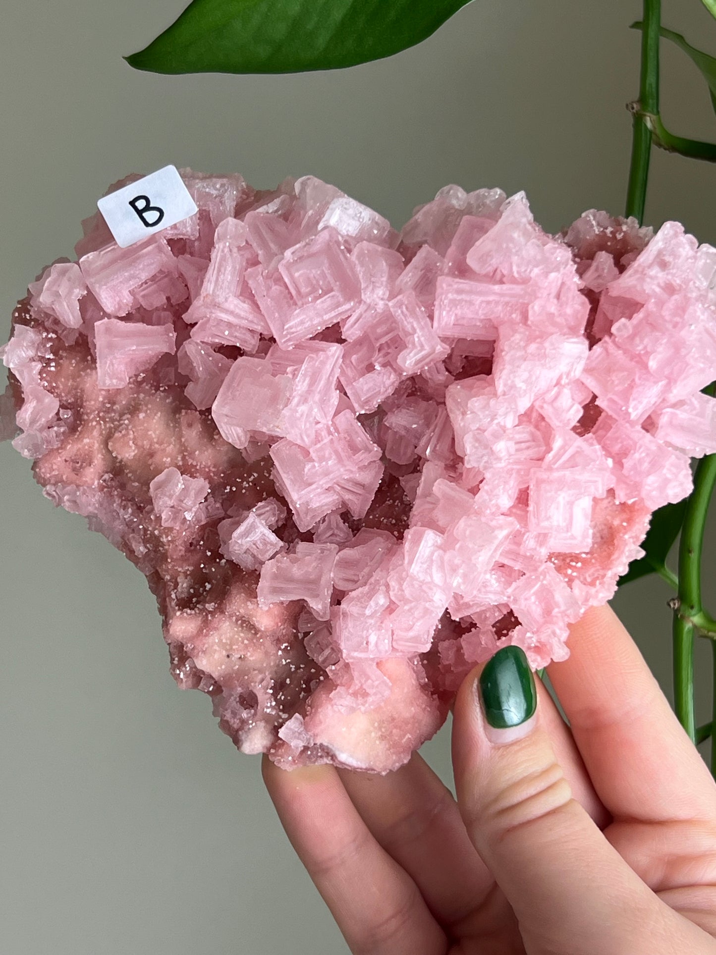 Pink Halite Specimen - XLarge - B