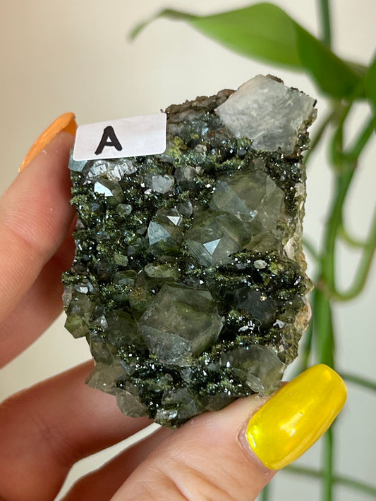 Forest Epidote Quartz Cluster - A