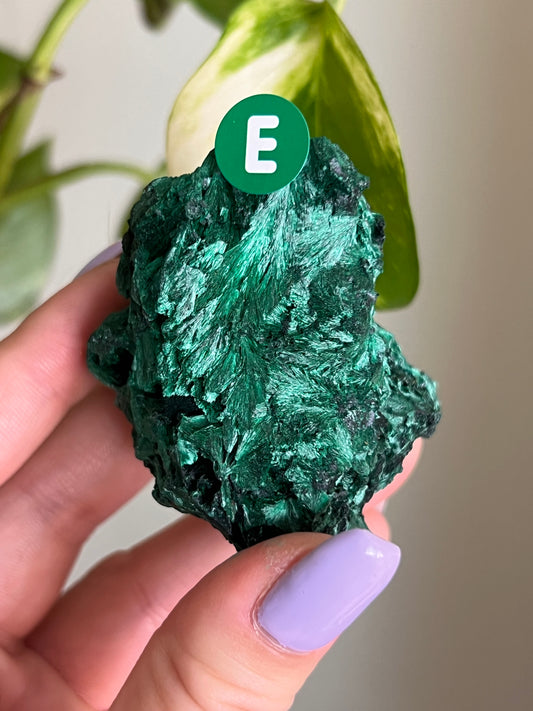 Fibrous Malachite - E