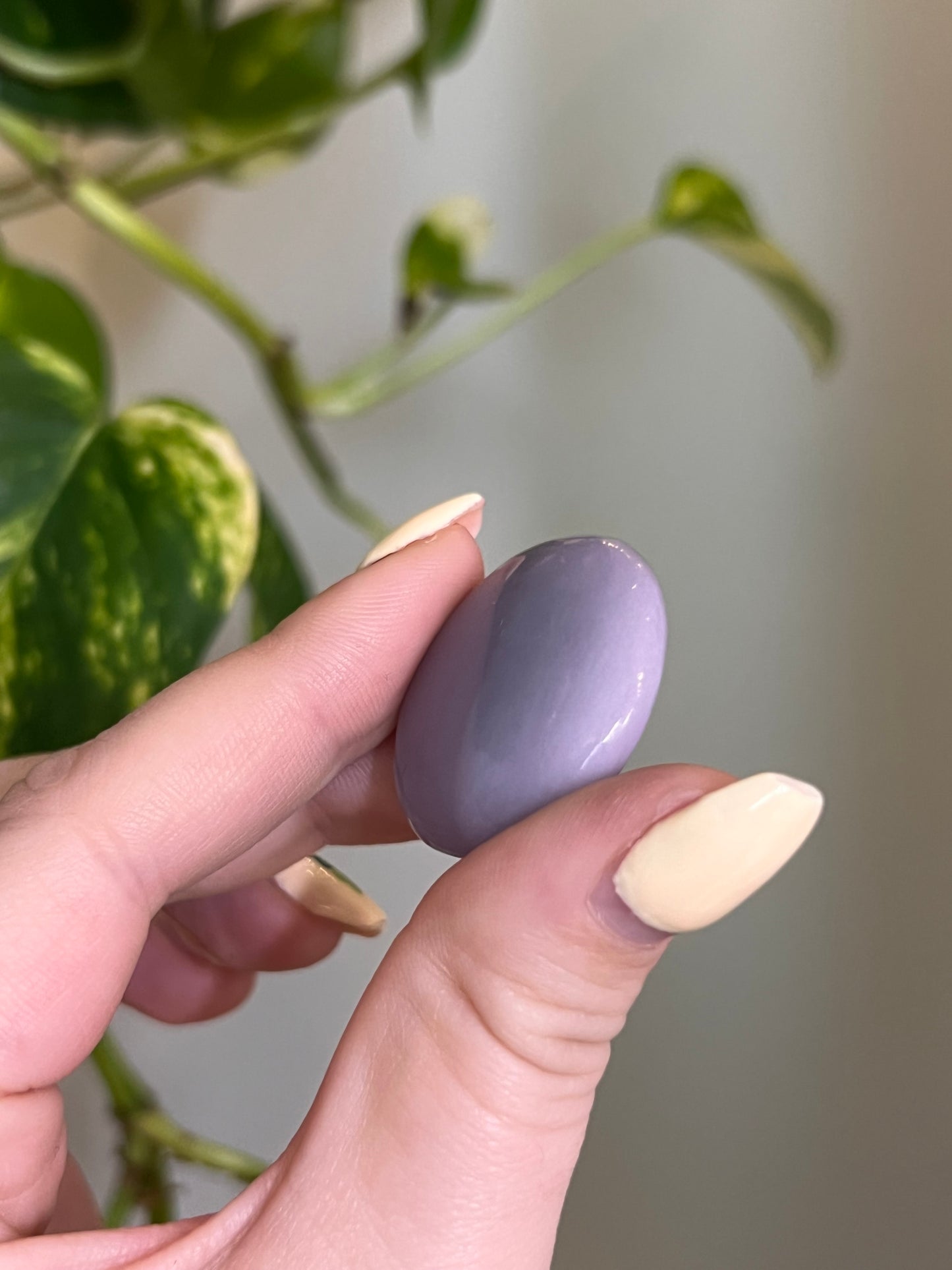 Yttrium Fluorite Button