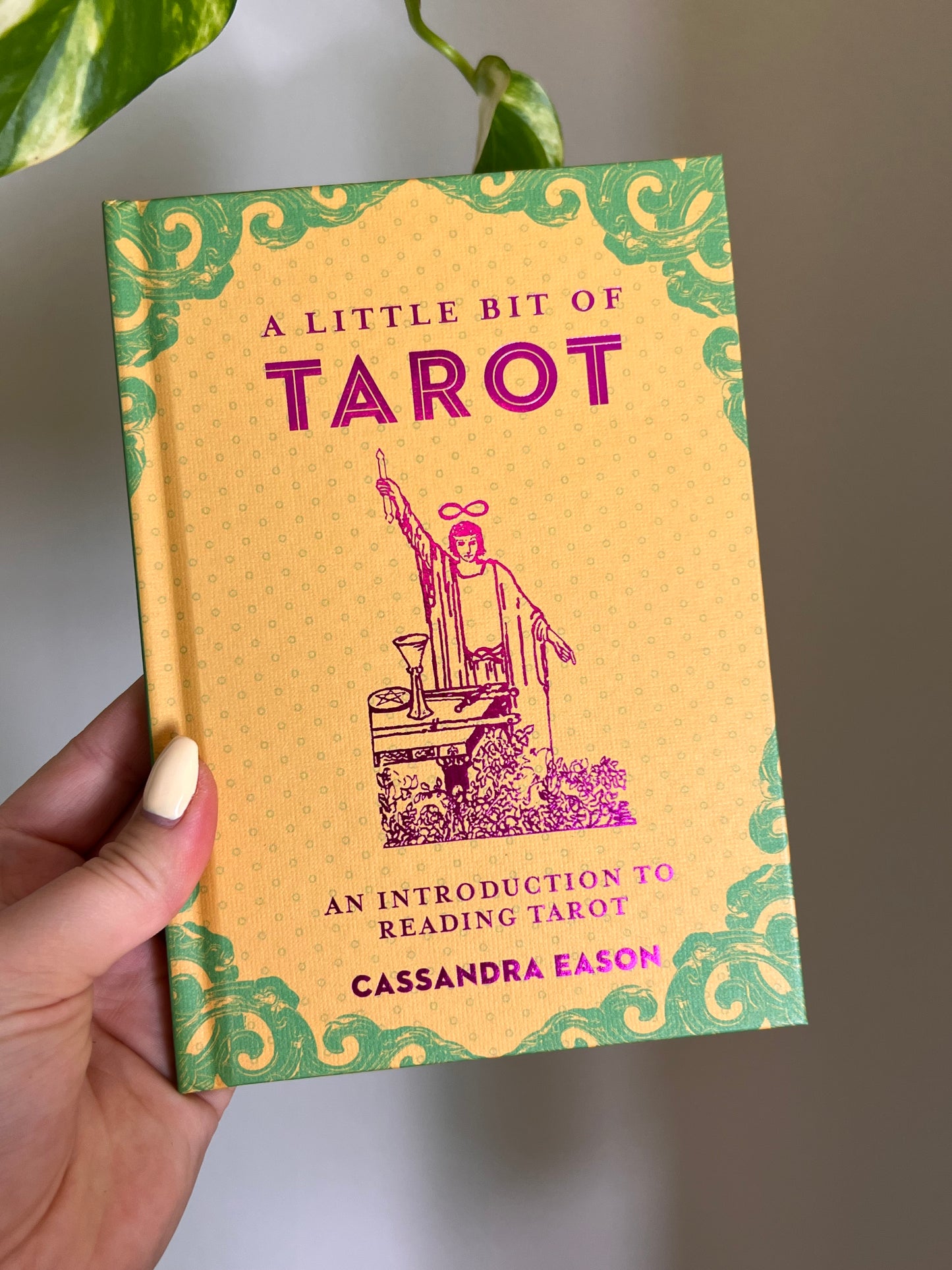 A Little Bit of Tarot Book