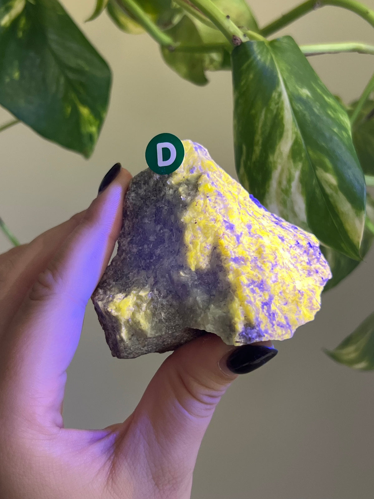 UV Reactive Meionite Scapolite Specimen - D