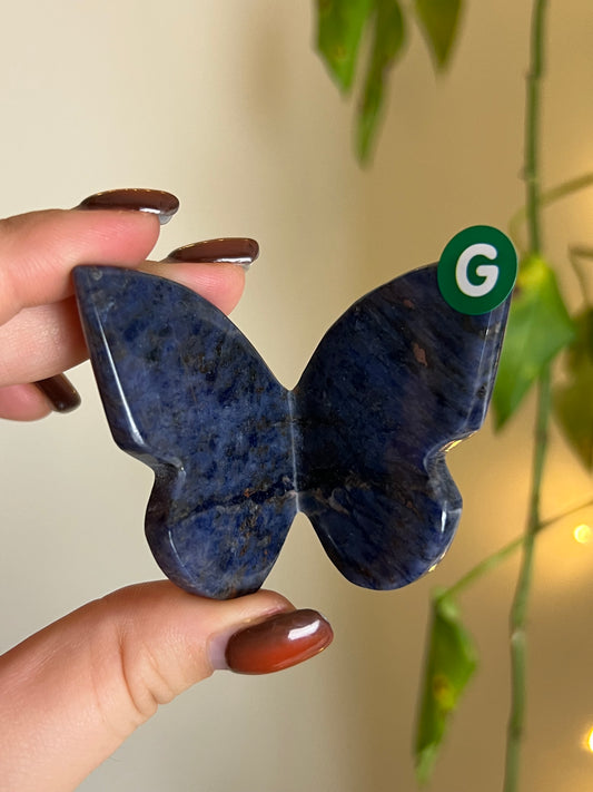 Sodalite 3D Butterfly - G