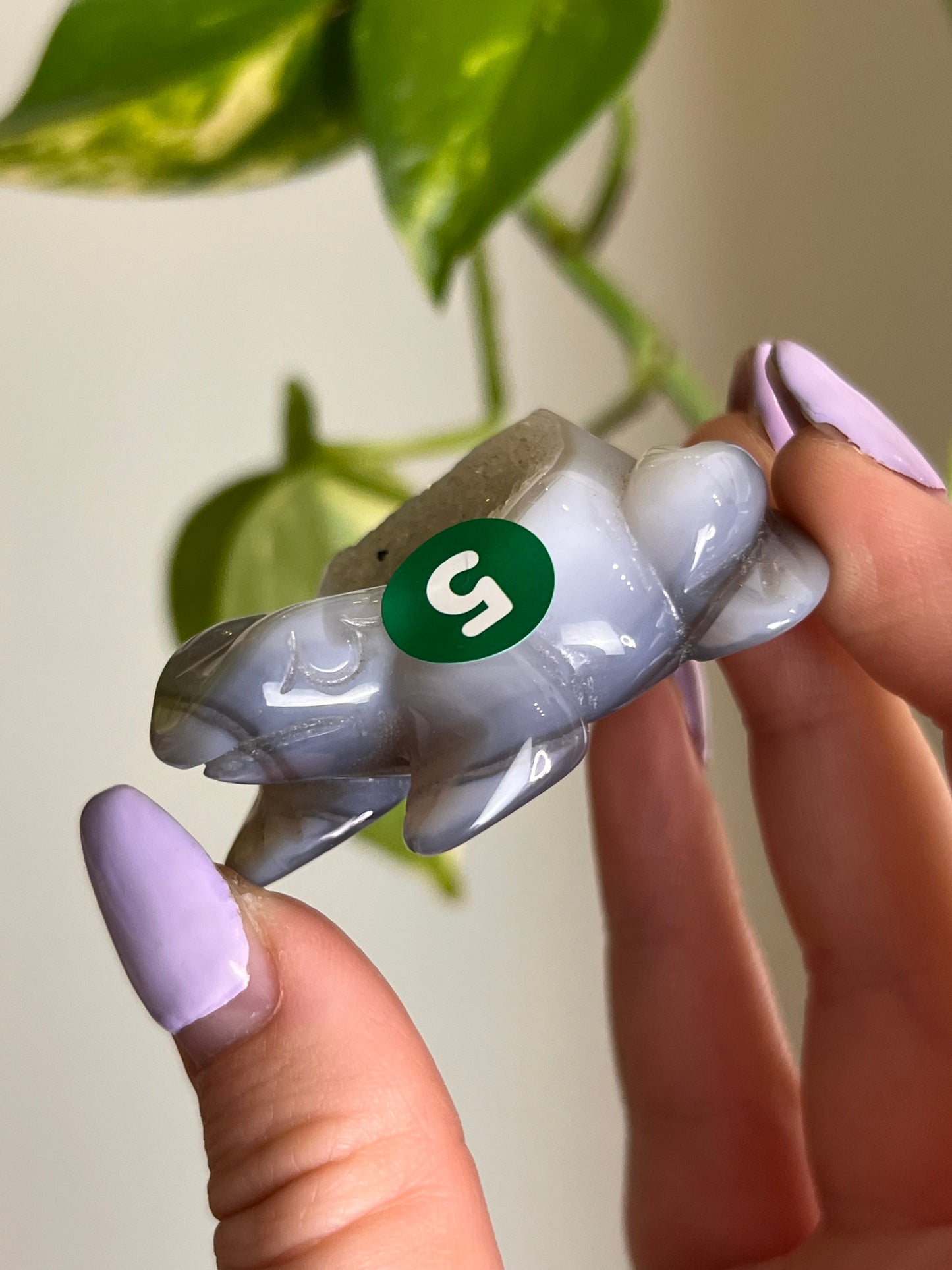 Druzy Agate Frog - 5