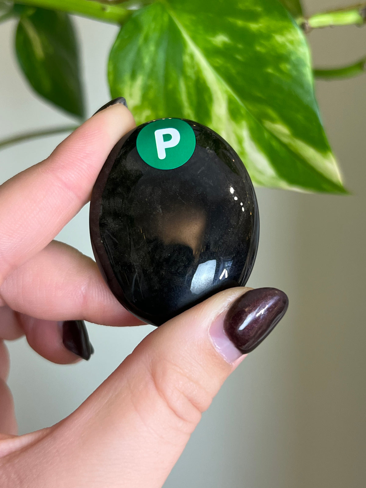 Gold Sheen Obsidian Small Palm Stone - P