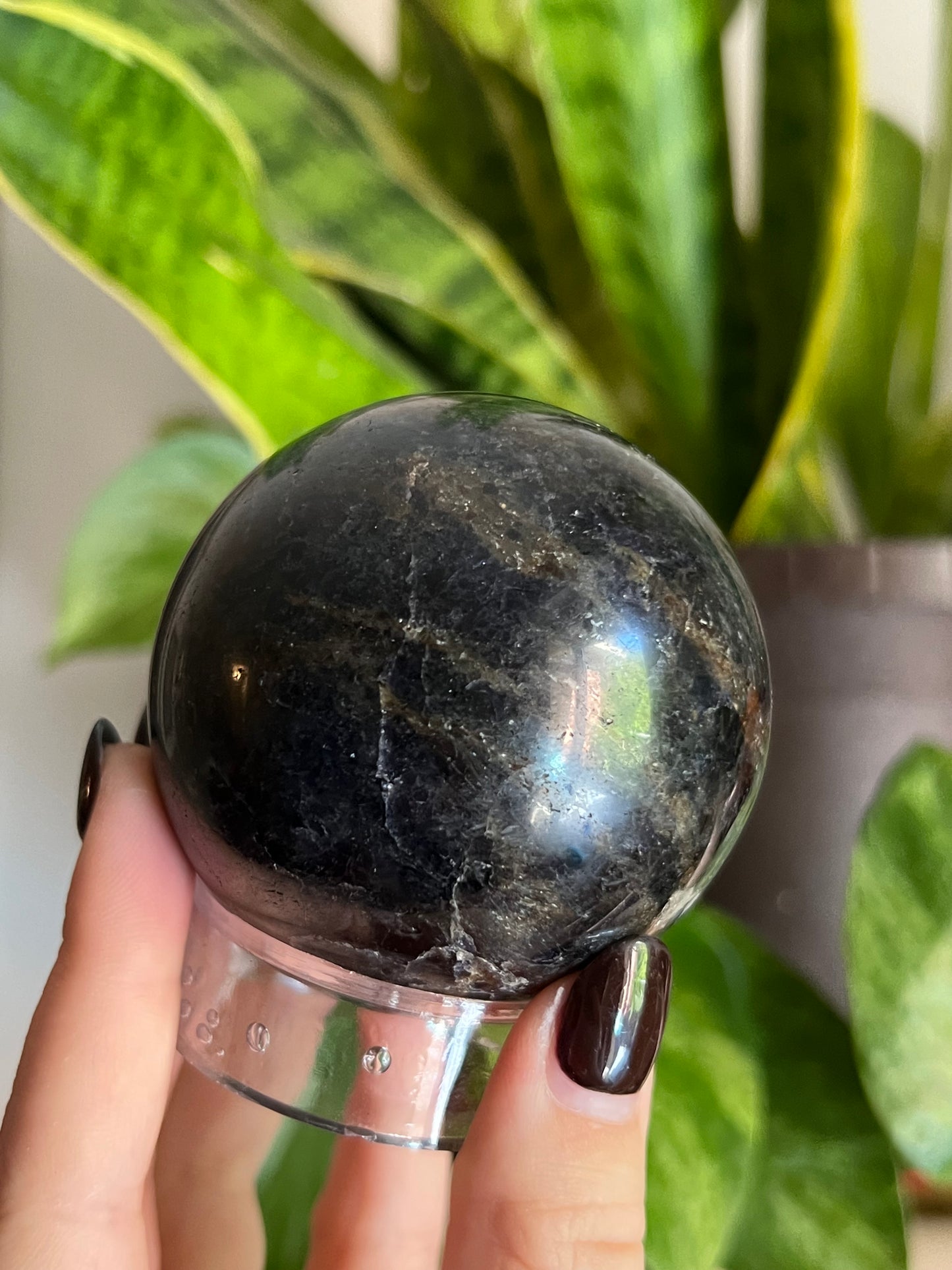 Iolite and Water Sapphire Sphere V