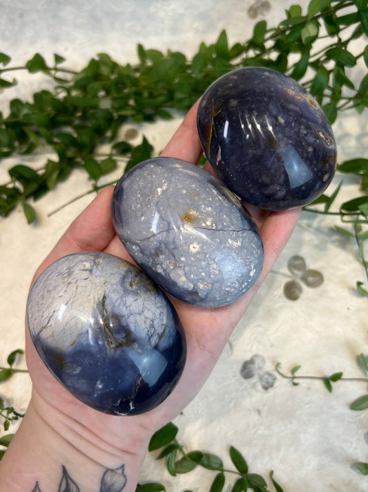 Palmier d'opale violette