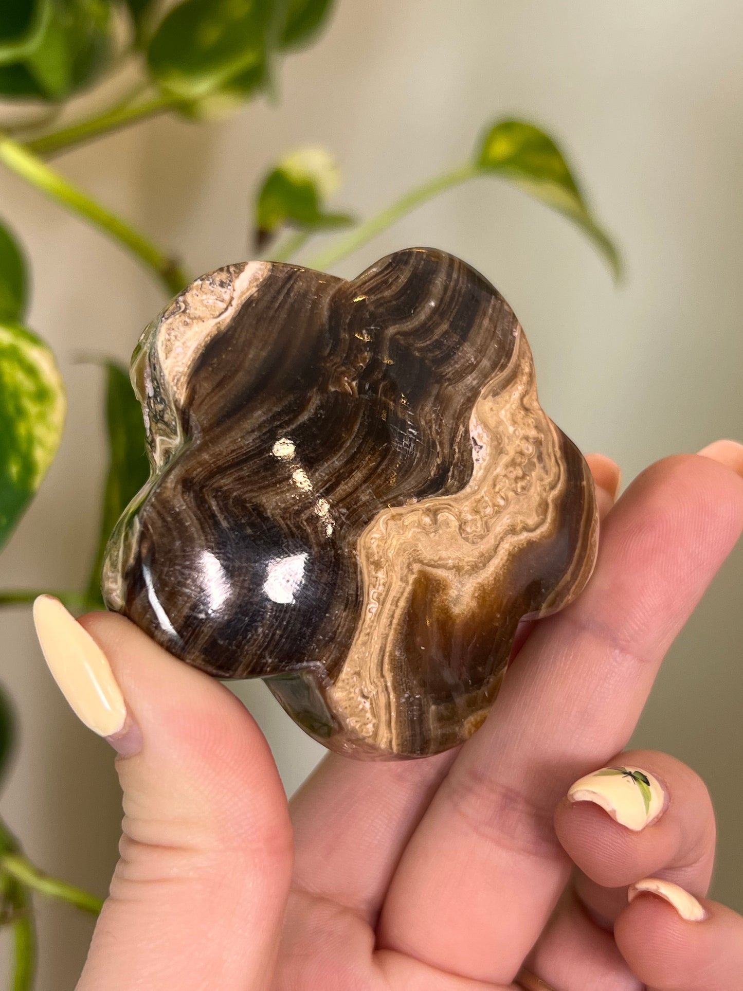 Chocolate Swirl Calcite Groovy Flower - F