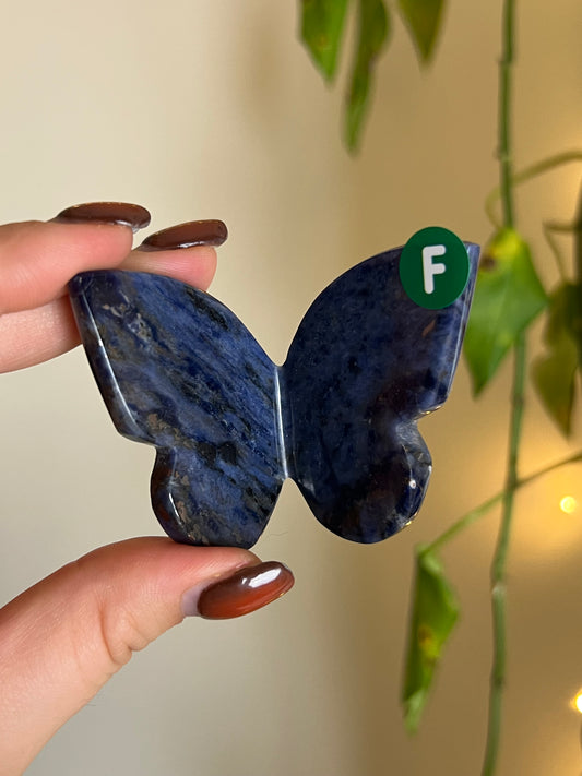 Sodalite 3D Butterfly - F