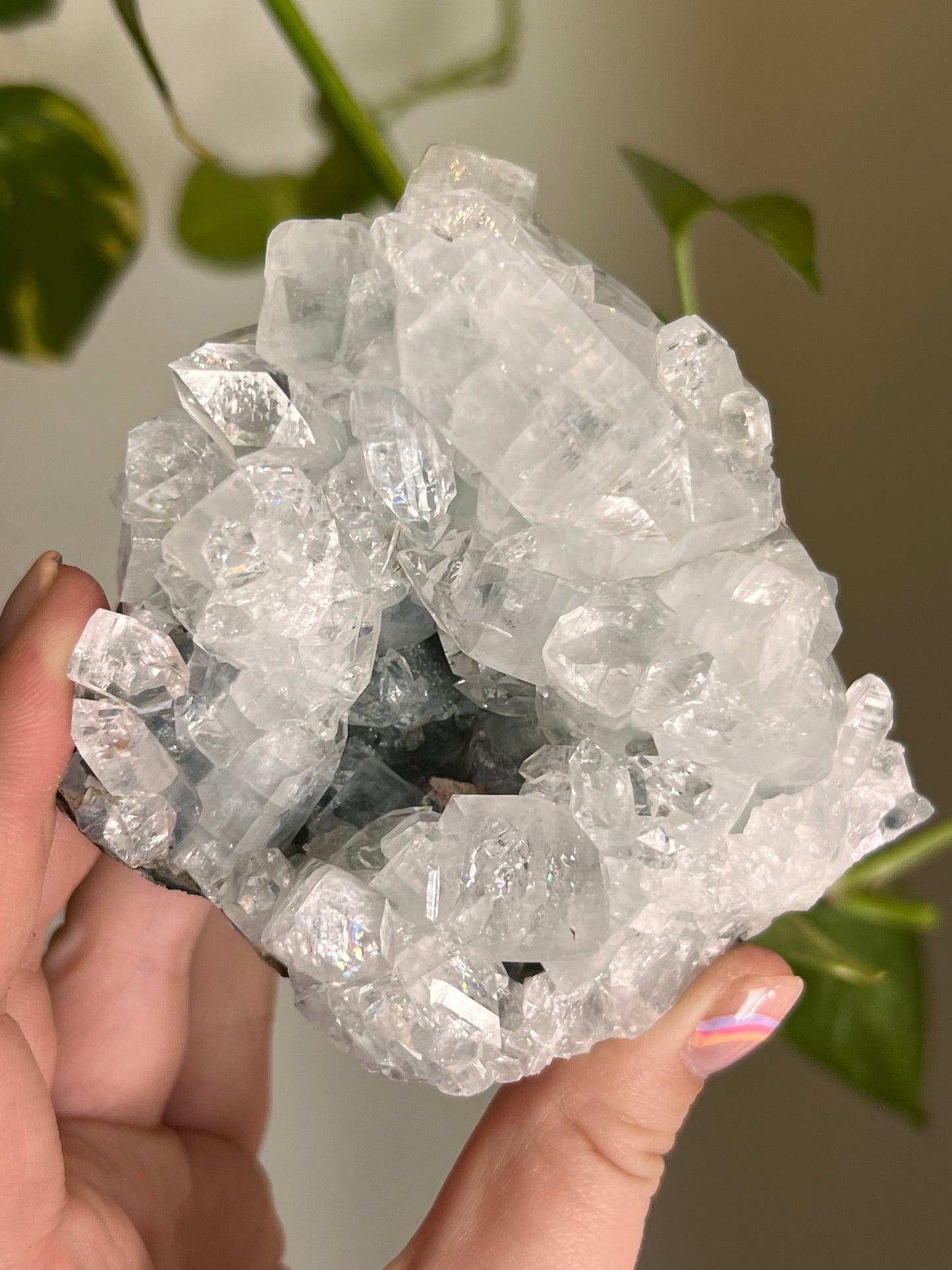 Apophyllite Cluster - Y