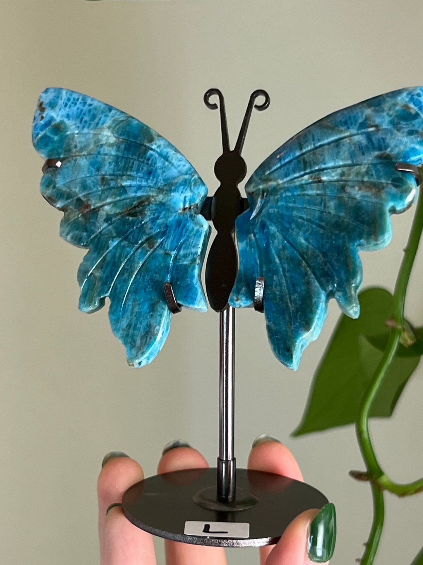 Blue Apatite Butterfly Stand L