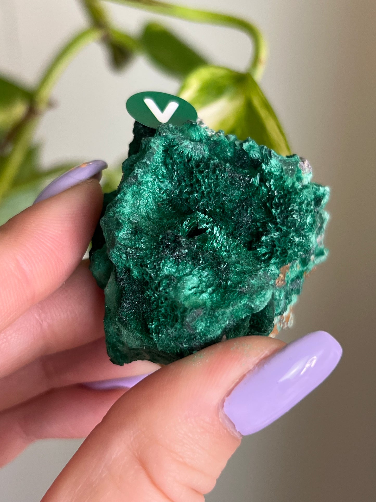 Fibrous Malachite - V