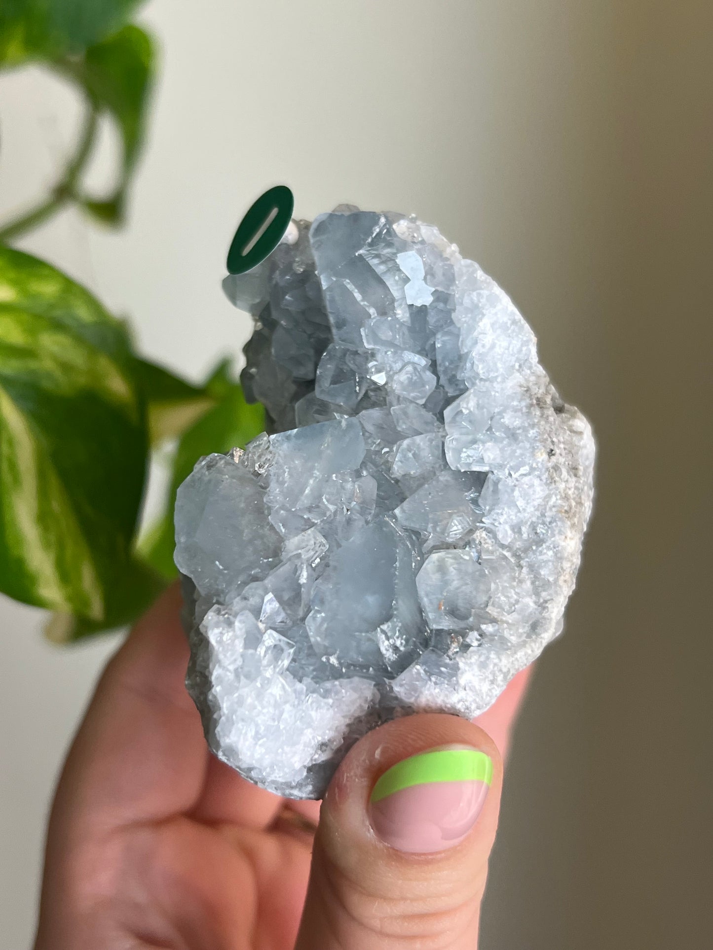 Celestite Cluster - I 🌊