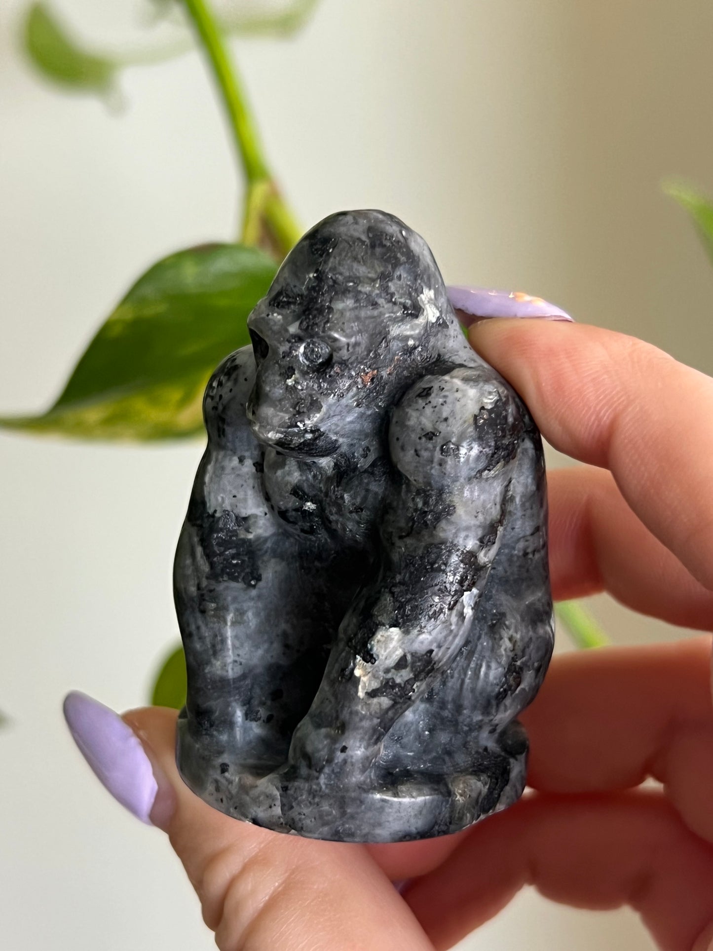 Flashy Larvikite Gorilla