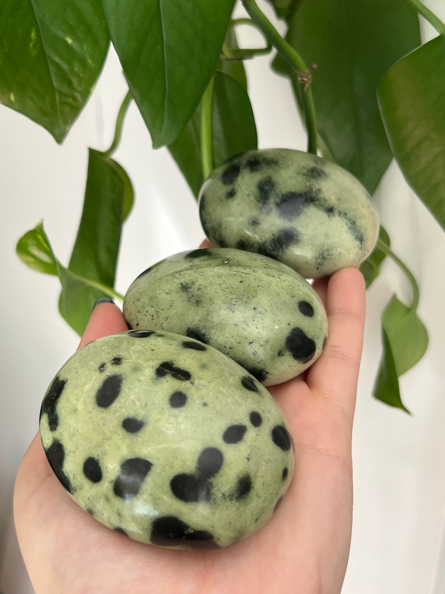 Leopard Stone Palm Stone