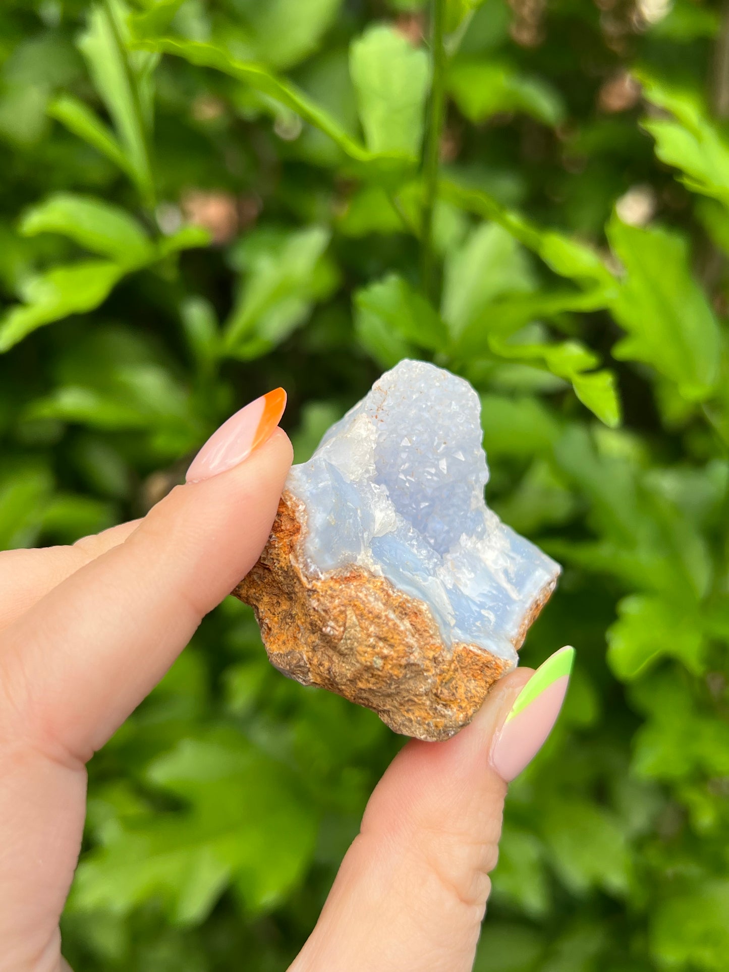Druzy Blue Lace Agate Geode - A