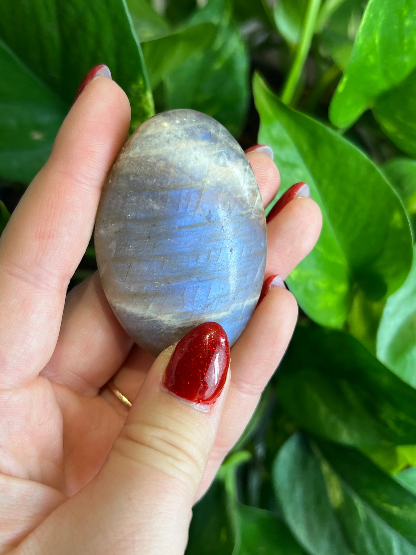 Flashy Moonstone Small Palm