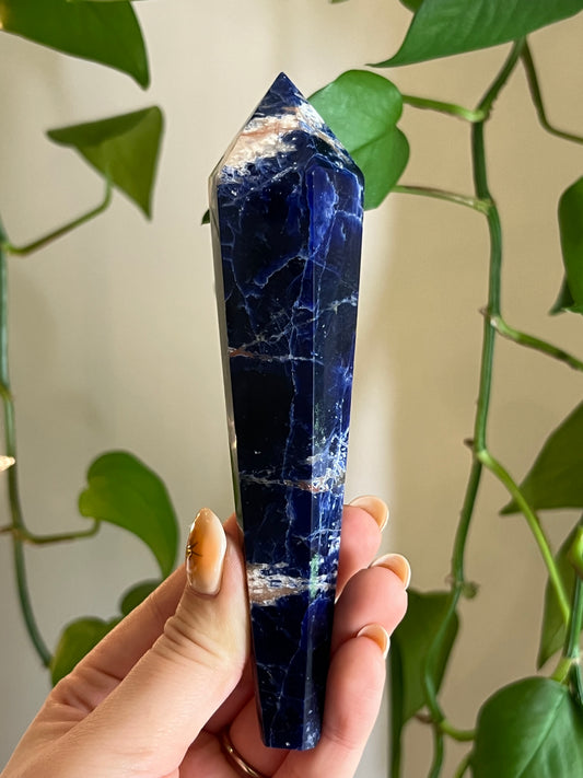 Sodalite Wand - LL