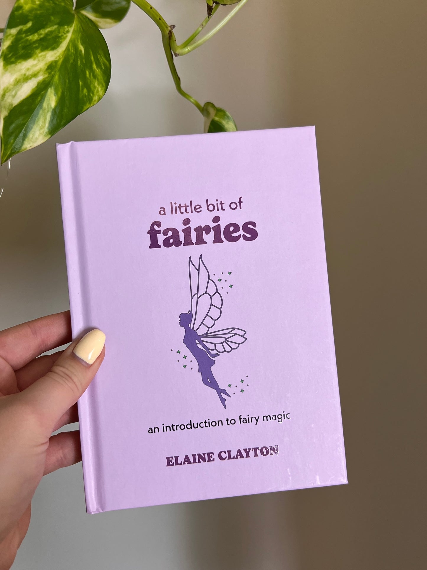 A Little Bit of Fairies Book