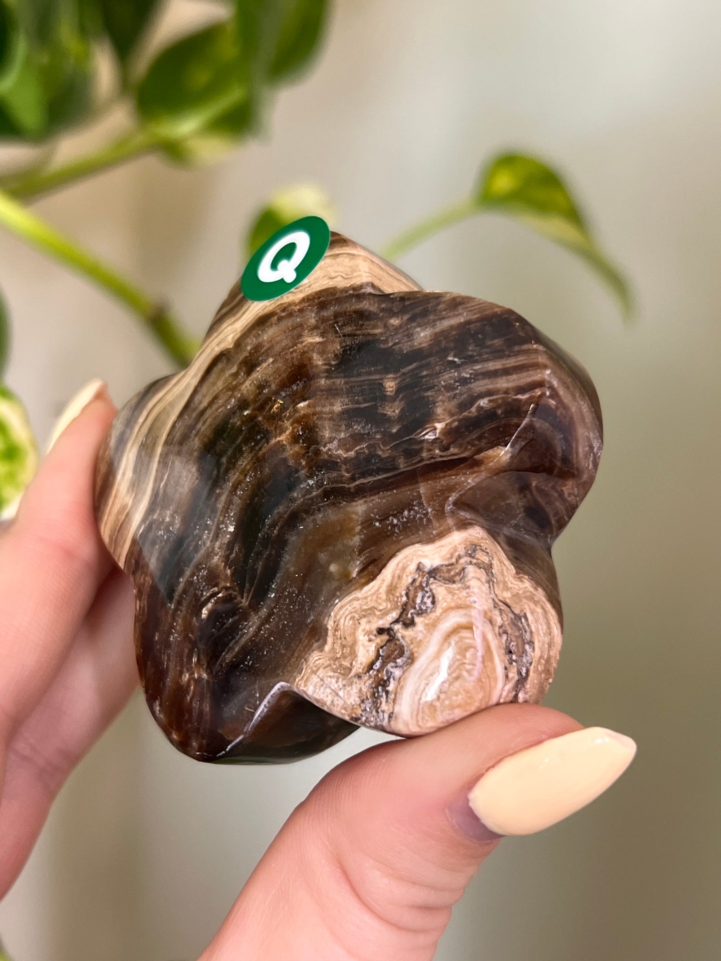Chocolate Swirl Calcite Groovy Flower - Q