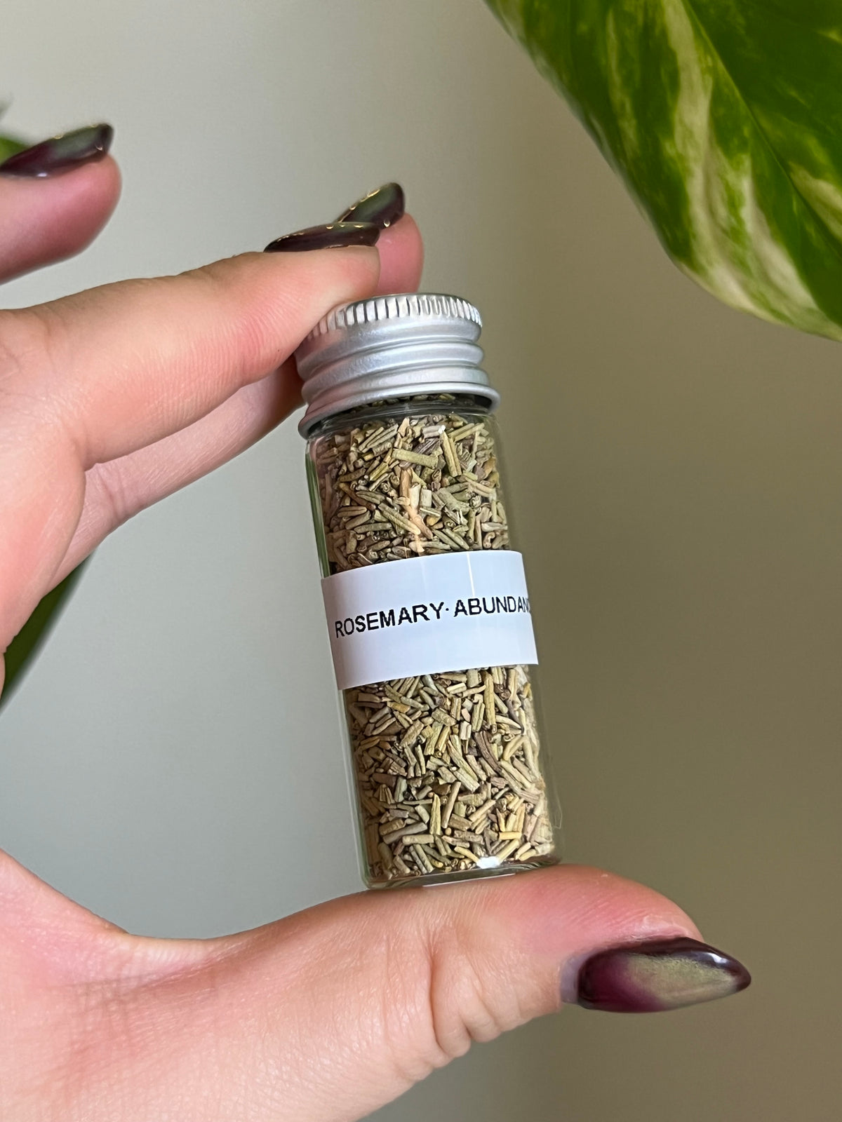 Rosemary Herb Vial -  Abundance + Cleansing