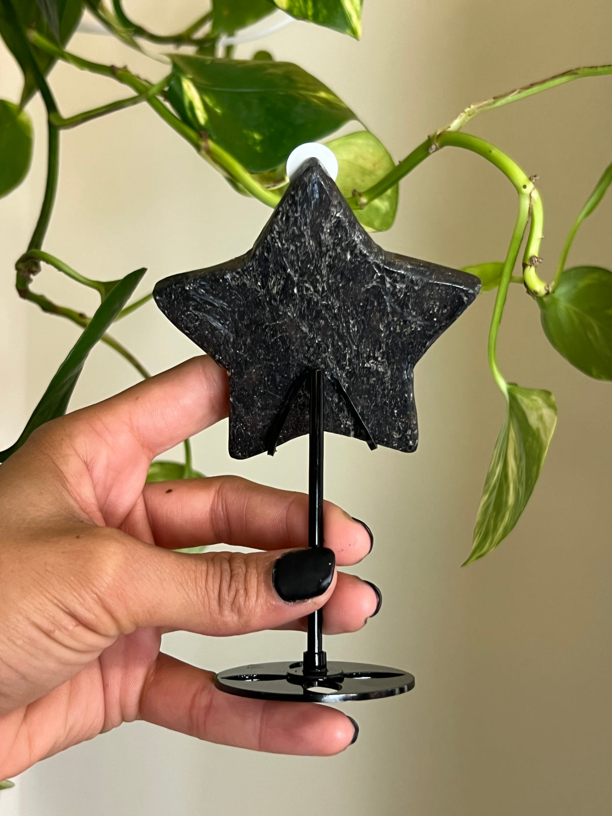 Flashy Astrophyllite Star on Stand - 1