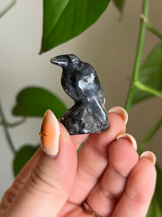 Larvikite Raven