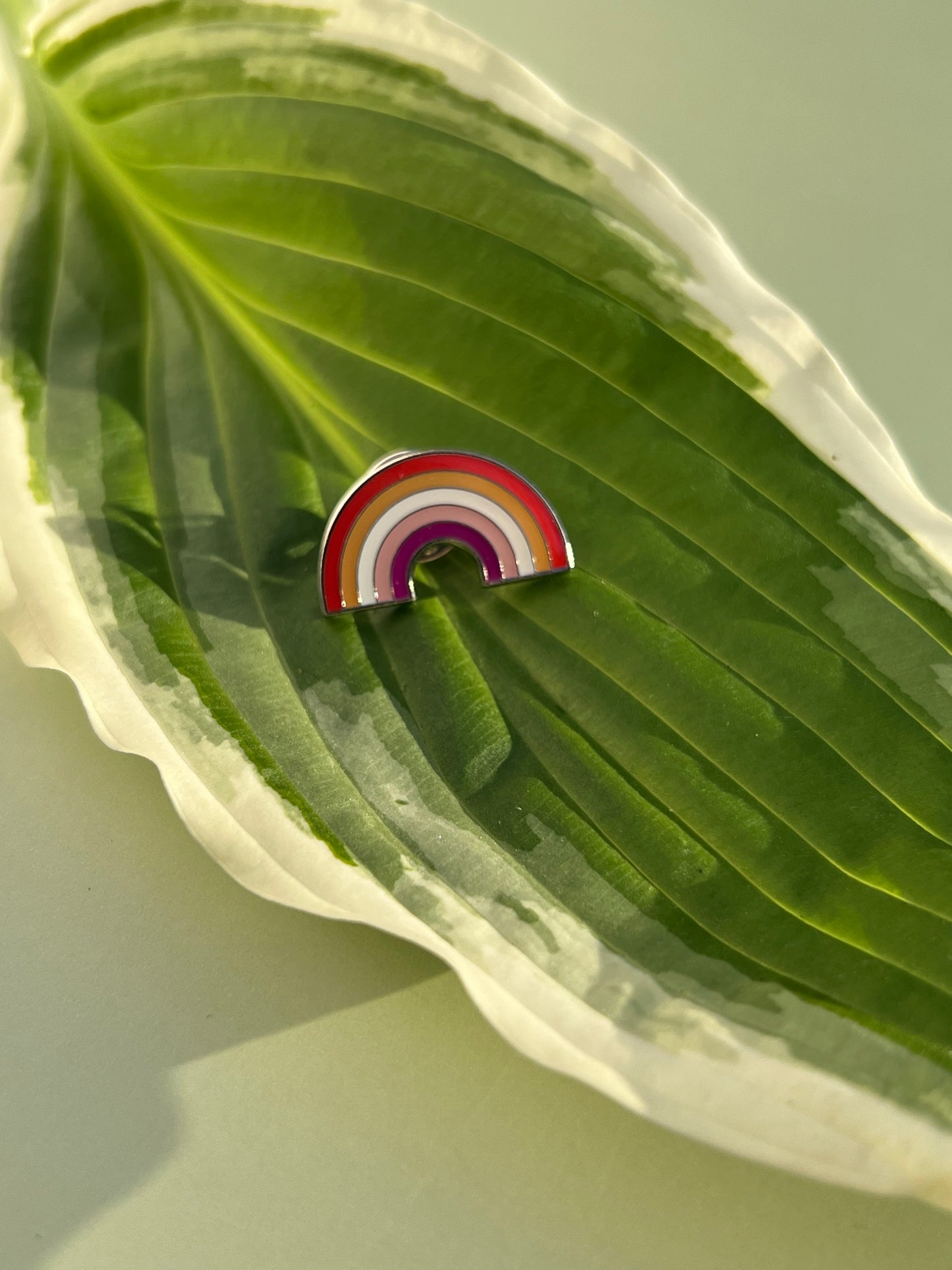 Épingles de fierté arc-en-ciel