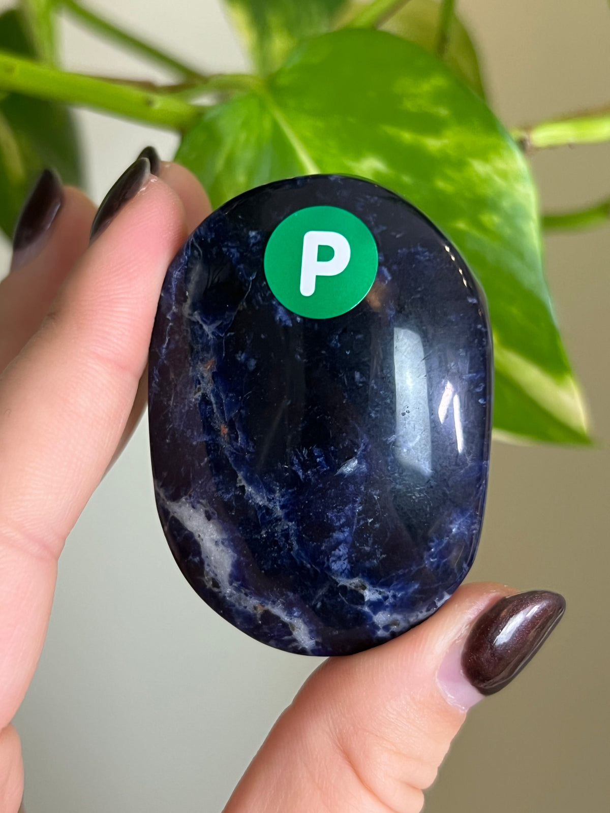 Sodalite Palm Stone - P