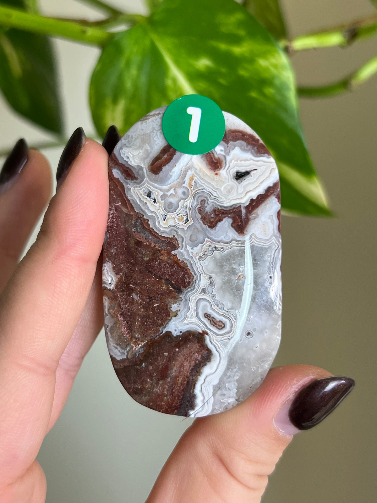Druzy Mexican Lace Agate Palm Stone - 1