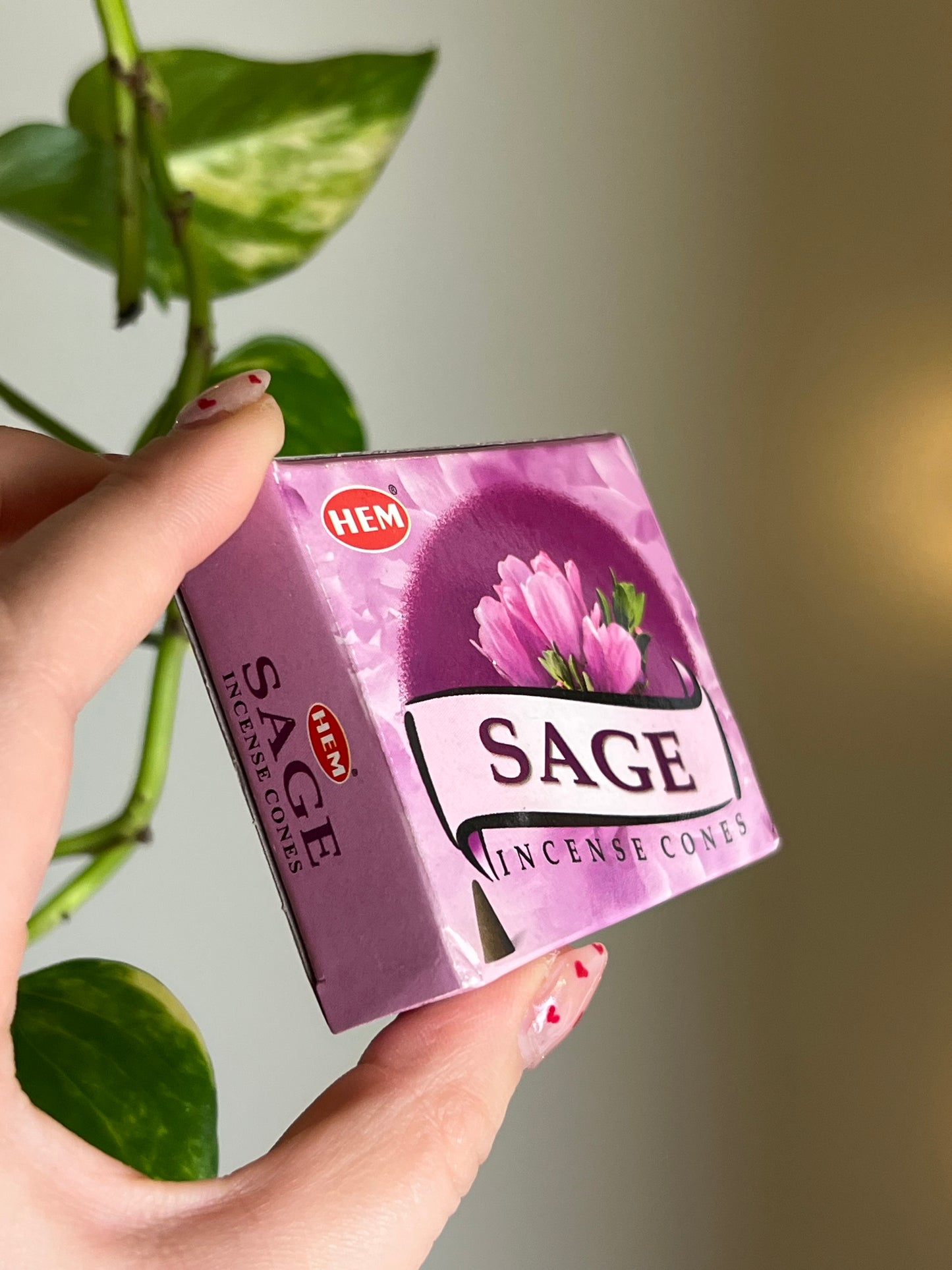 Sage Incense Cones