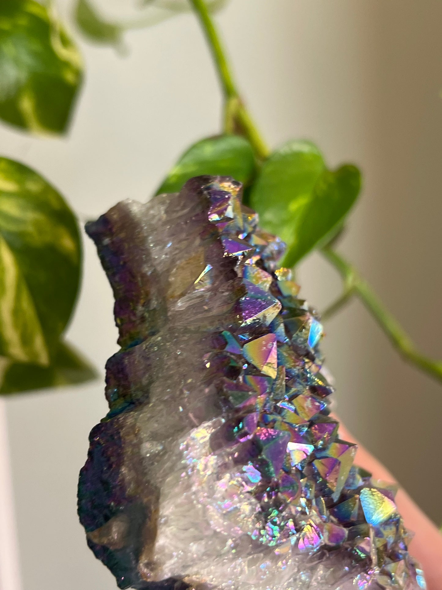 Aura Amethyst Large Cluster