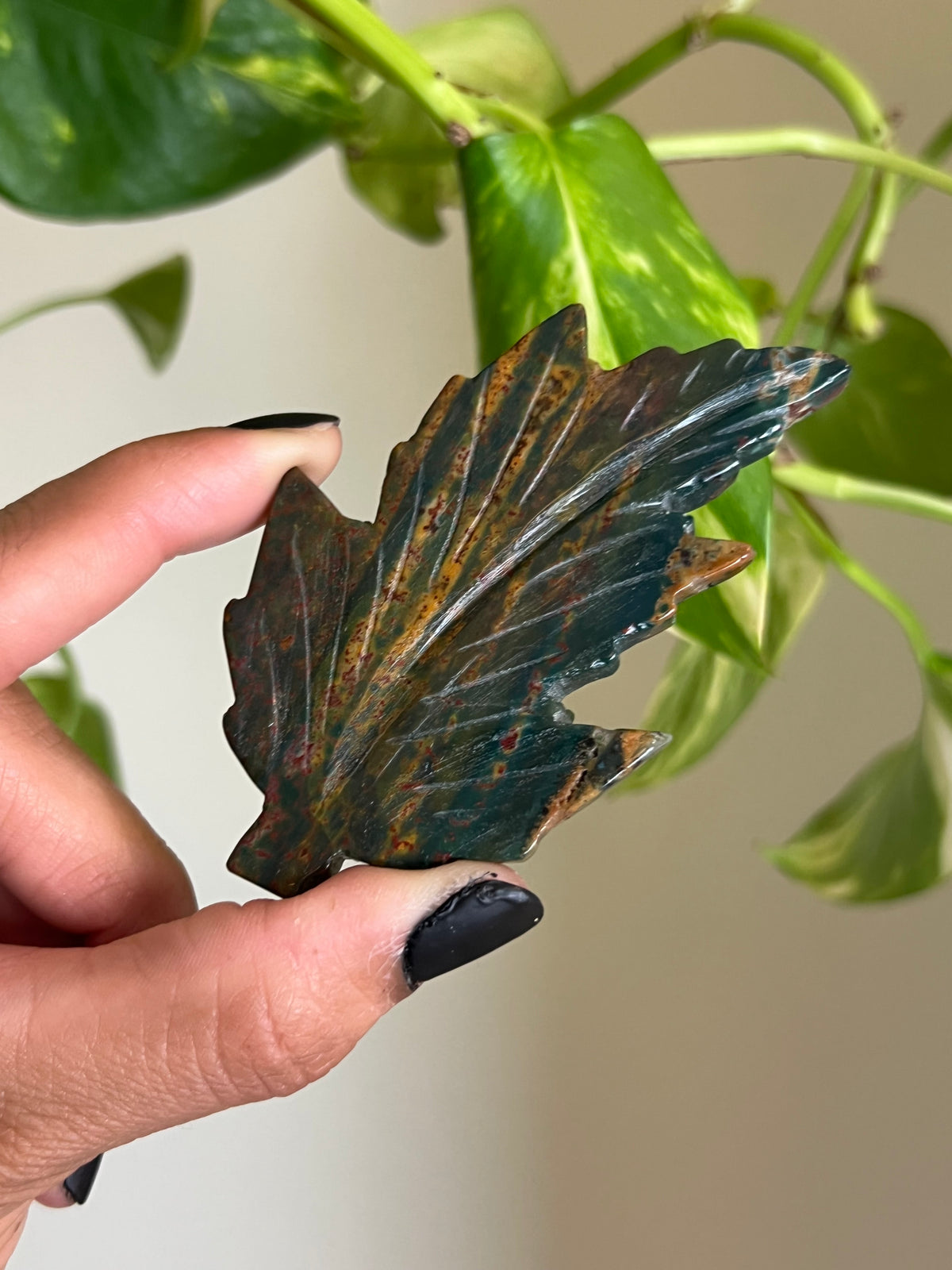 Ocean Jasper Leaf 🍂