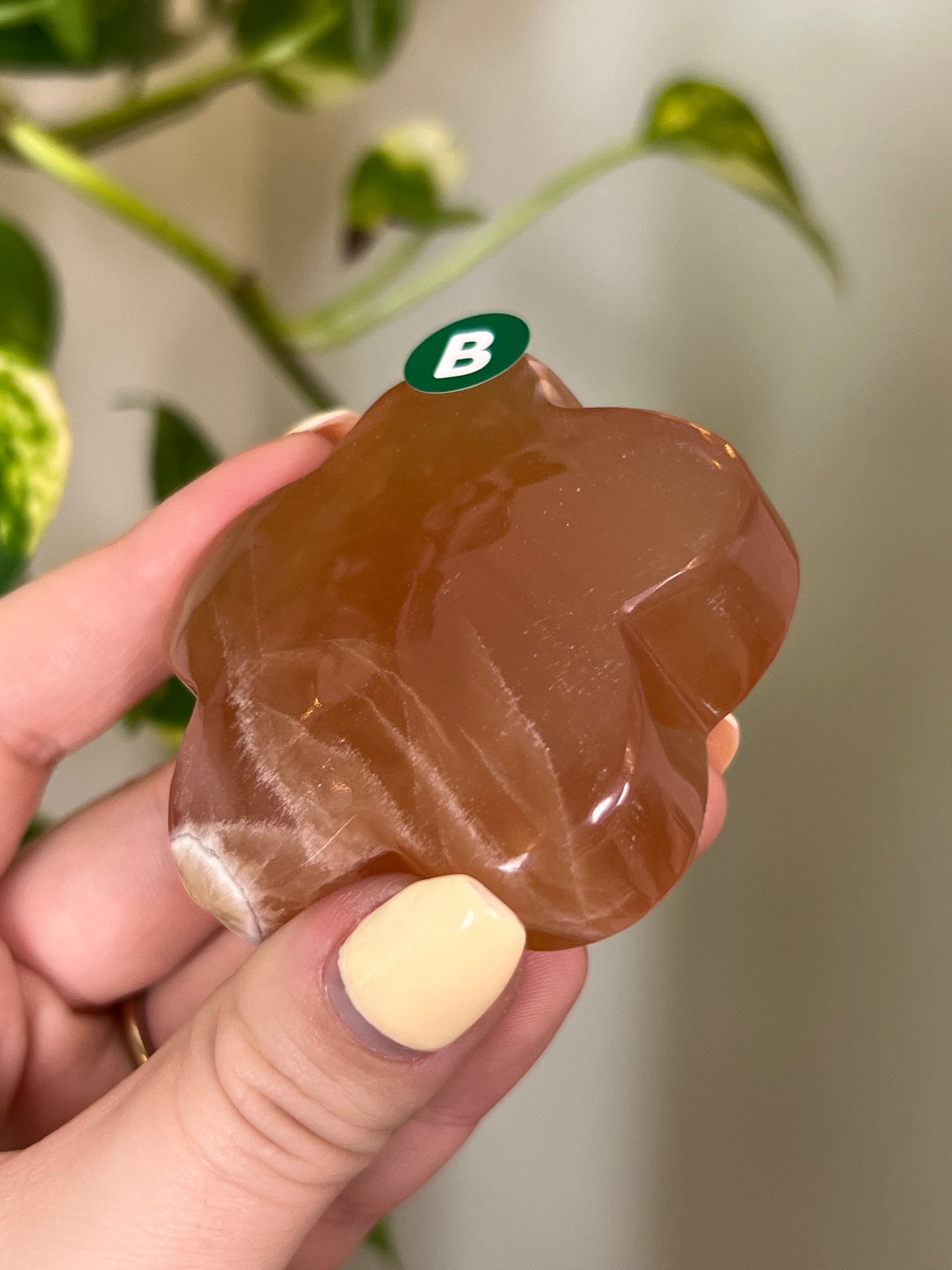 Honey Calcite Groovy Flower - B