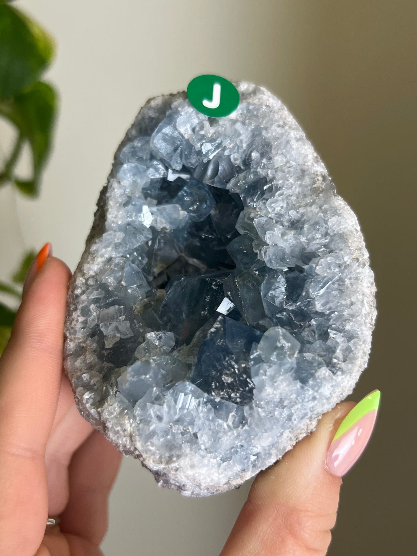 Celestite Cluster - J 🌊