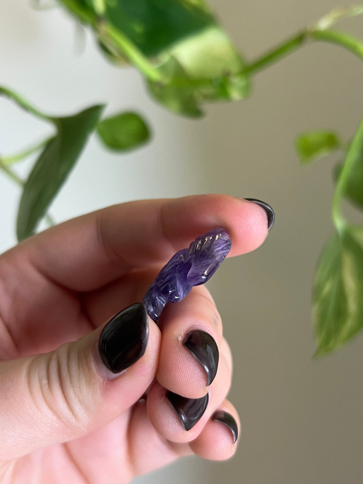 Amethyst Small Bat