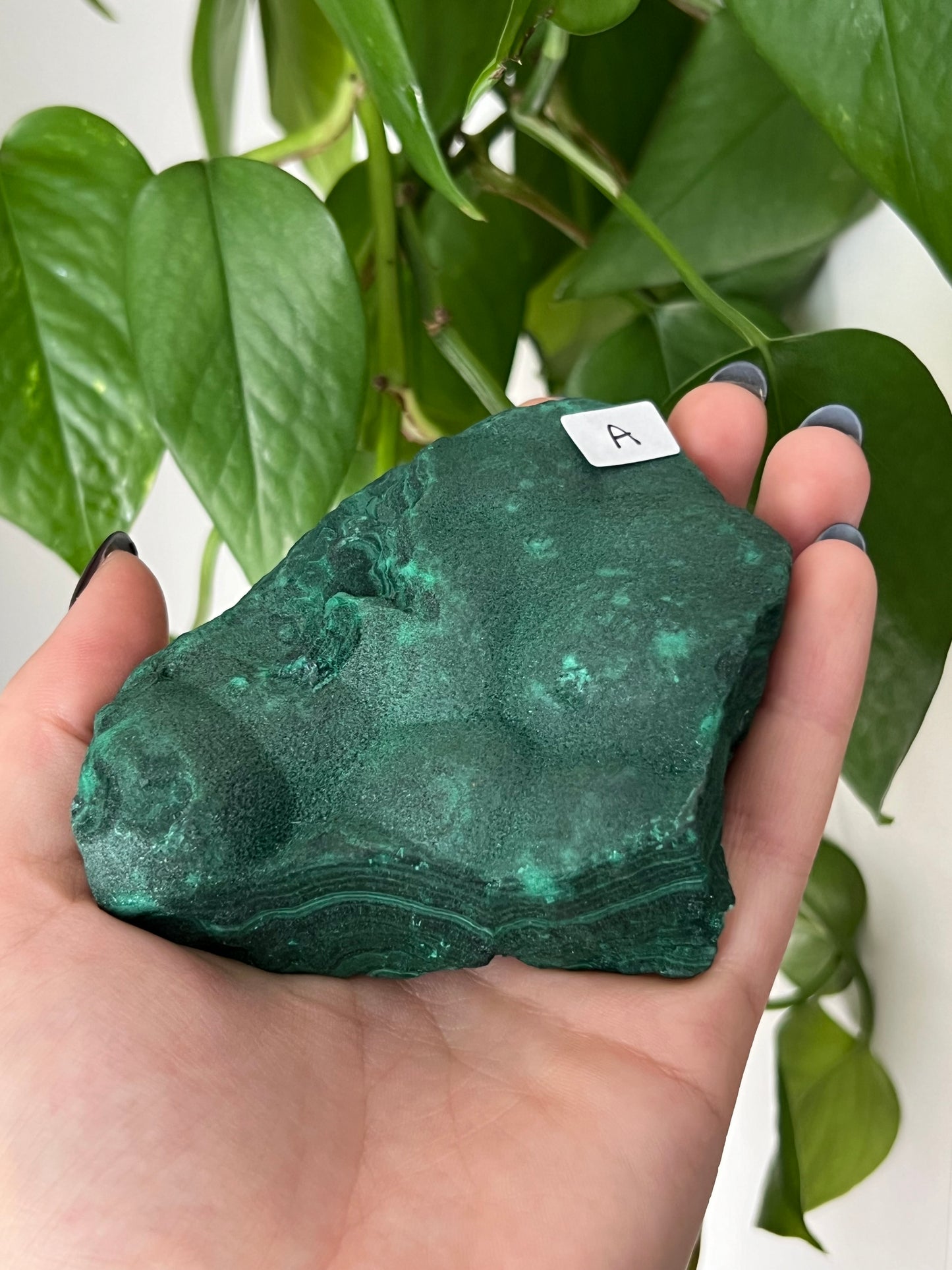 Botryoidal Sparkly Velvet Malachite A